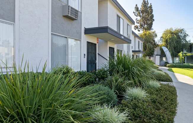 A modern building with a black door and windows surrounded by greenery.