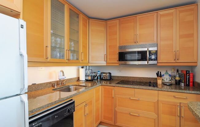 Spacious 1 bed lakeview end unit in Lincoln Park for rent