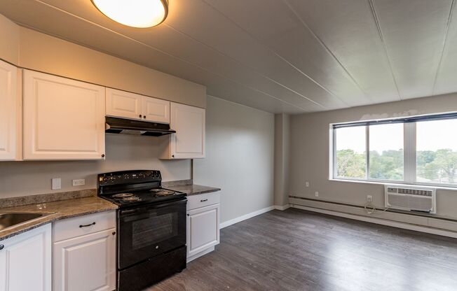 Studio, 1 bath, 425 sqft, $606, Unit Unit 318