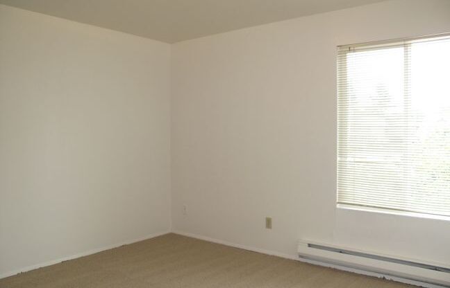 Birchwood Apartments