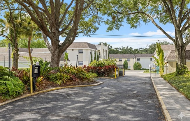 A tree-lined street with a parking meter on the side.