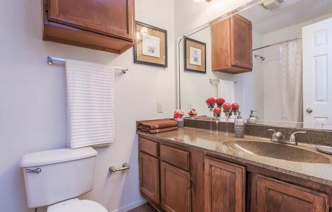 a kitchen with a sink and a mirror