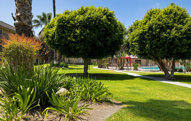 Coronado Palms