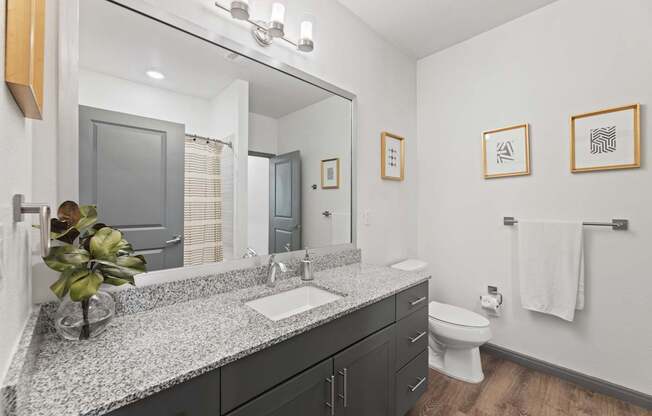 A bathroom with a marble countertop and a white toilet.