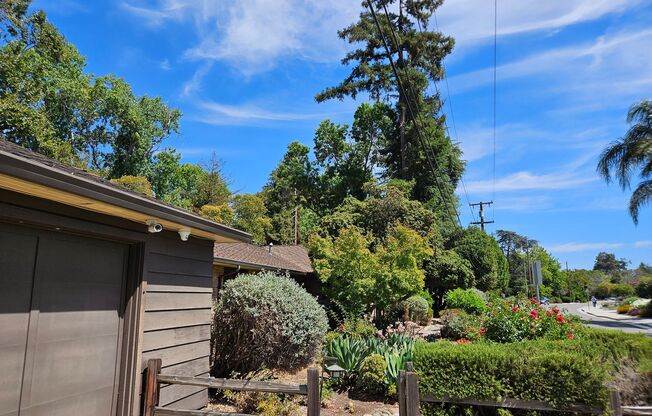 Coming Soon....Stunning 5 Bed 3 Bath Naglee Park Home With Scenic Views
