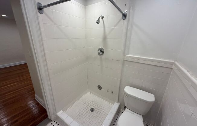 Studio, 1 bath, 294 sqft, $1,245, Unit New King Edward  410