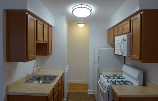 1 bed, 1 bath, 625 sqft, $1,550, Unit 411