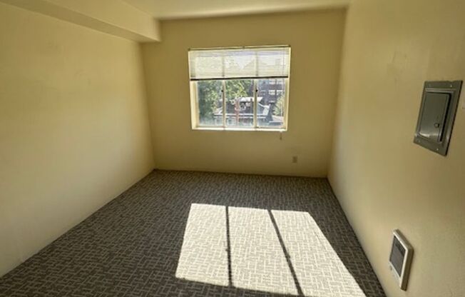 1 bed, 1 bath, 548 sqft, $1,347, Unit 505A