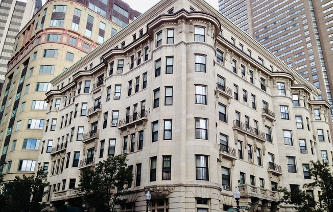Studio, 1 bath, 365 sqft, $2,490, Unit 203