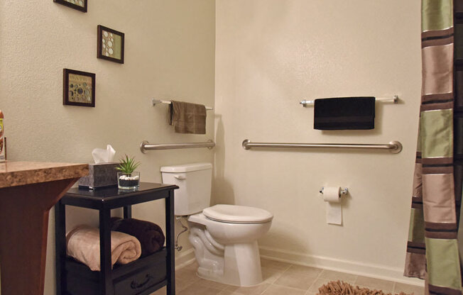 Bathroom at Irene Woods Apartments, Collierville, TN, 38017