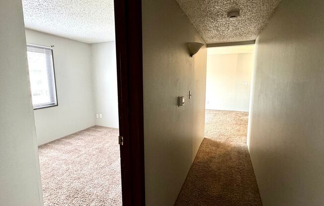 2 beds, 1 bath, 800 sqft, $850, Unit 3710-02