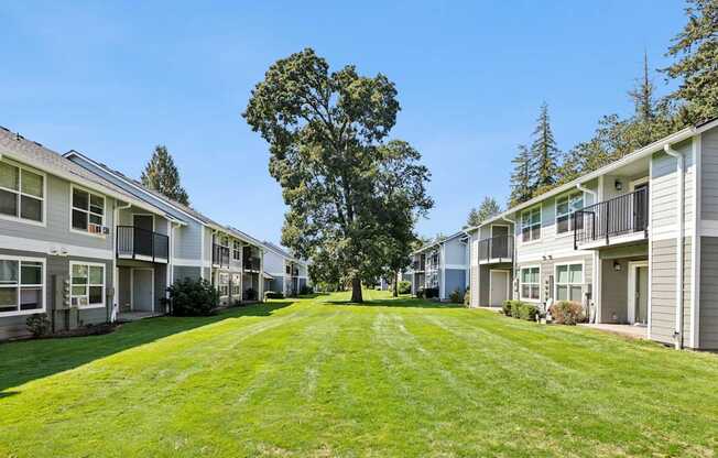 A tree stands in the middle of a grassy area between two rows of houses.
