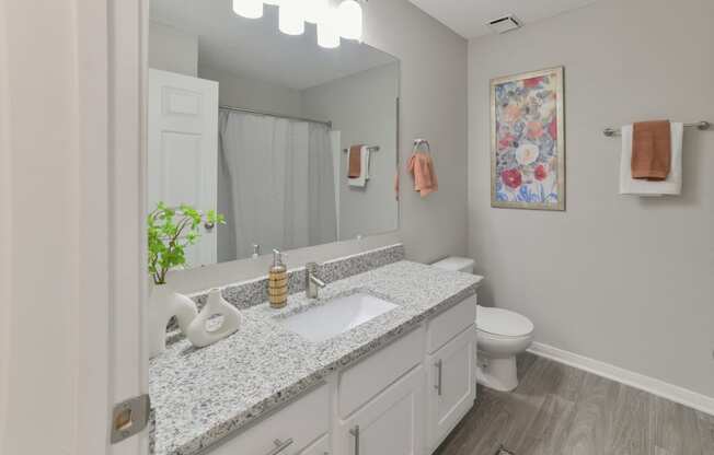 a bathroom with a sink and a toilet and a mirror at Twenty35 at Timothy Woods, Athens, GA, 30606