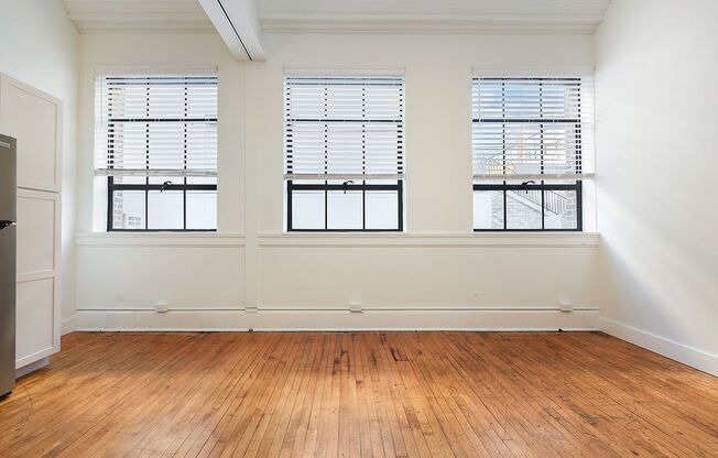 1 bed, 1 bath, 400 sqft, $1,250, Unit Bowtie High-211