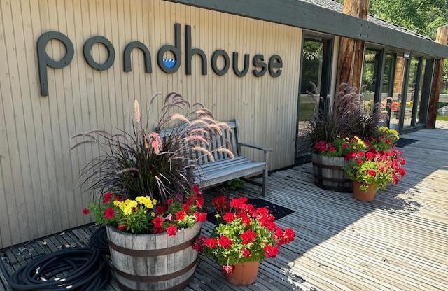 2 beds, 1 bath, 1,000 sqft, $1,425