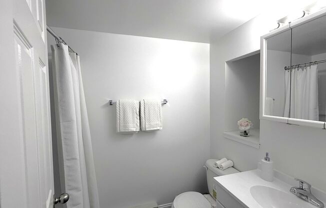 Studio, 1 bath, 310 sqft, $1,079, Unit 002G