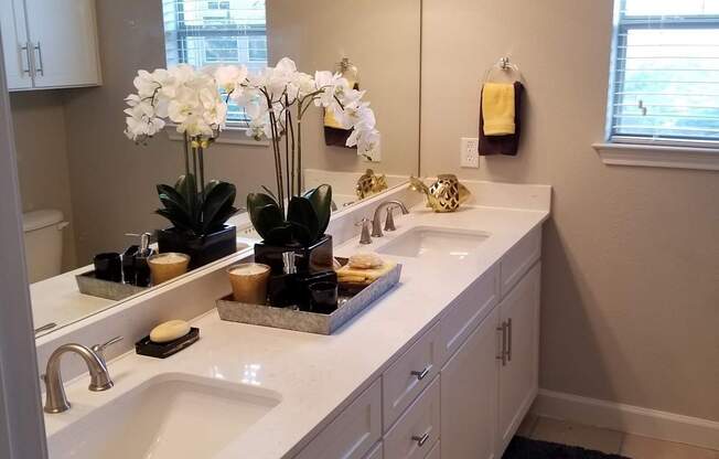 a bathroom with two sinks and a mirror