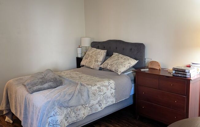 Studio, 1 bath, 431 sqft, $2,500, Unit 403