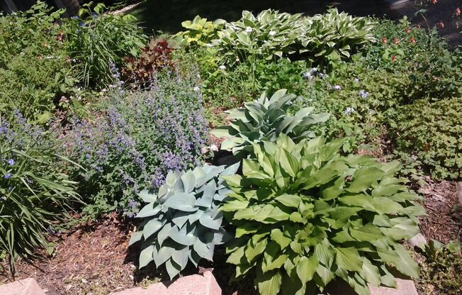 Aldrich Exterior at Aldrich Avenue Apartments, Minnesota, 55405