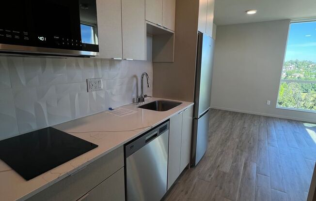 Studio, 1 bath, 295 sqft, $1,495, Unit 702