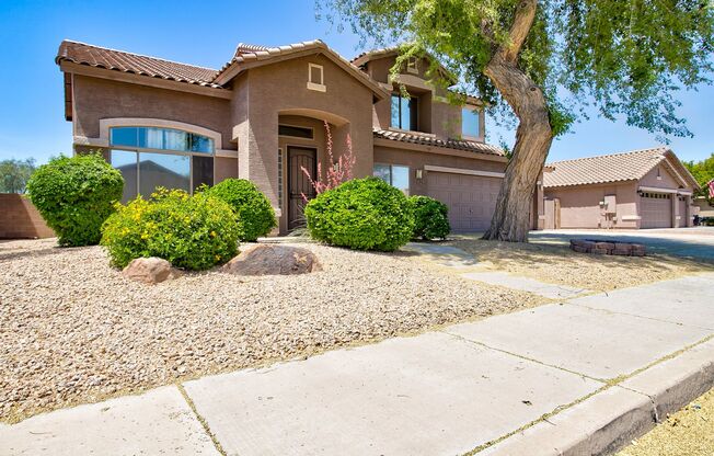 Stunning 5 Bedroom 3 Bathroom with 3 Car Garage and Pool!!!  Gorgeous back yard!!  Bedrooms on 1st floor!!!  Available June 1st!!!