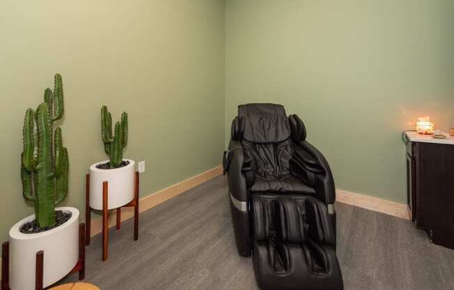 a massage chair in a room with a cactus and a plant at The Bend Arbordale, Williamsburg, VA