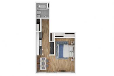 Studio, 1 bath, 423 sqft, $1,650