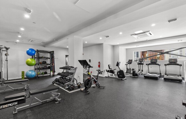 1 bed, 1 bath, 700 sqft, $3,300, Unit 411
