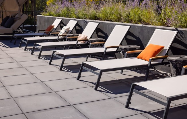 a row of chaise lounges with orange pillows are lined up on a patio