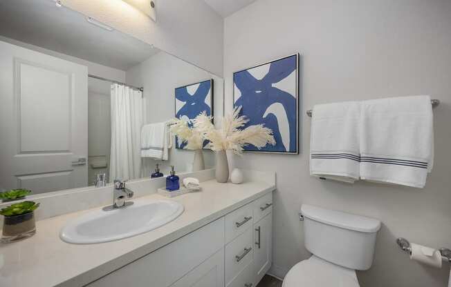 a bathroom with a sink toilet and mirror