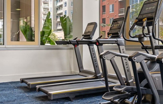 two rows of treadmills in a gym with a large window