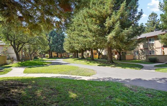 a street with houses and trees and a sidewalk