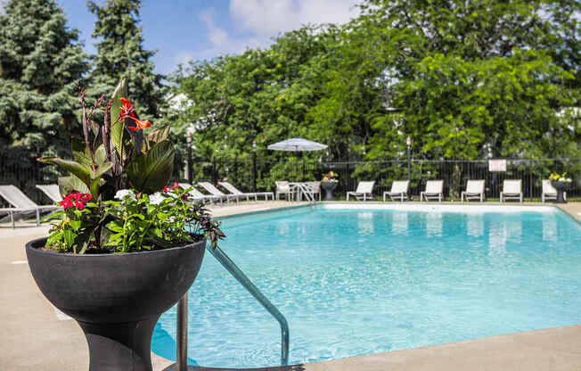 A pool with a flower pot in the foreground