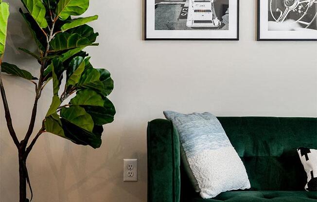 a living room with a green couch and a plant