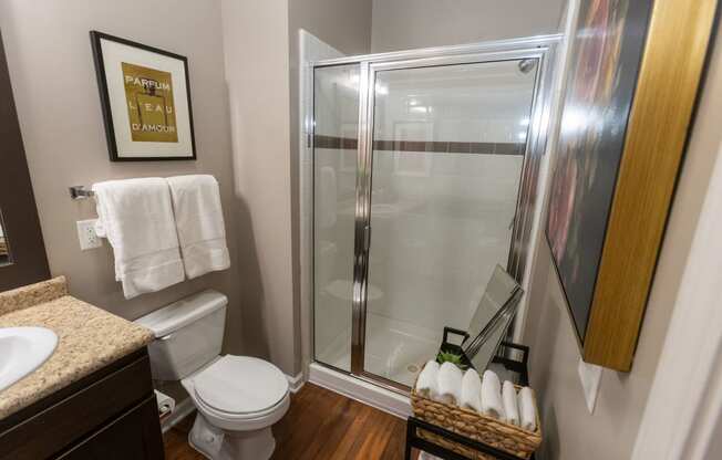 a bathroom with a shower and a toilet and a sink