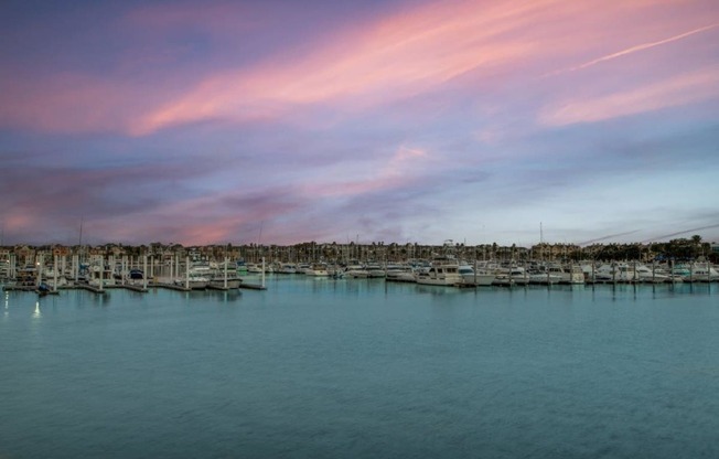 Aura Beacon Island Marina View