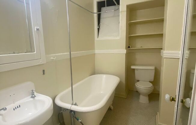 Studio, 1 bath, 385 sqft, $1,049, Unit 207