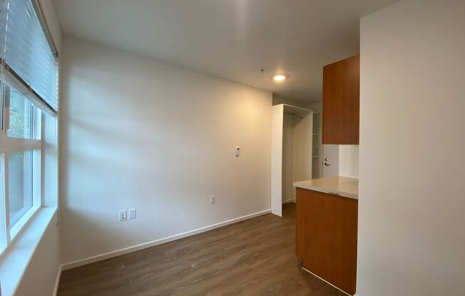 Studio, 1 bath, 175 sqft, $1,195, Unit 4309
