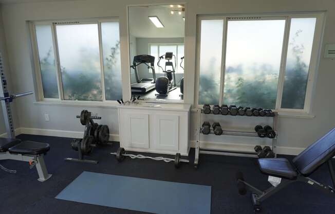 a gym with weights and mirrors and a window