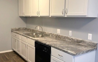 Kitchen-Renovated