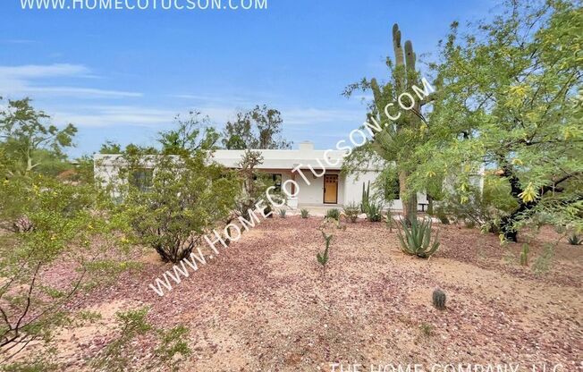 1005 W LOS ALTOS RD