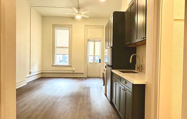 Studio, 1 bath, 254 sqft, $1,825, Unit 108