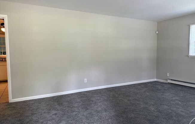 Amazing Ranch Home In Raleigh, Available Now!