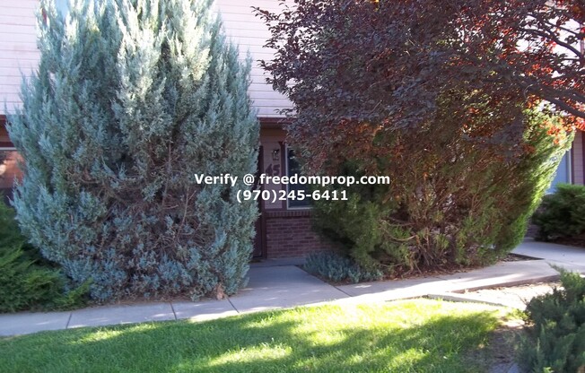 Near CMU 2 Bedroom 1.5 Bath Townhouse