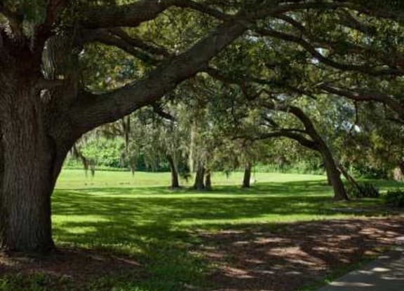 Thumbnail 20 of 22 - Green Spaces With Mature Trees at L&#x27;Estancia, Sarasota, 34231