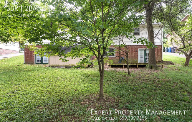 3425 ALPINE CT