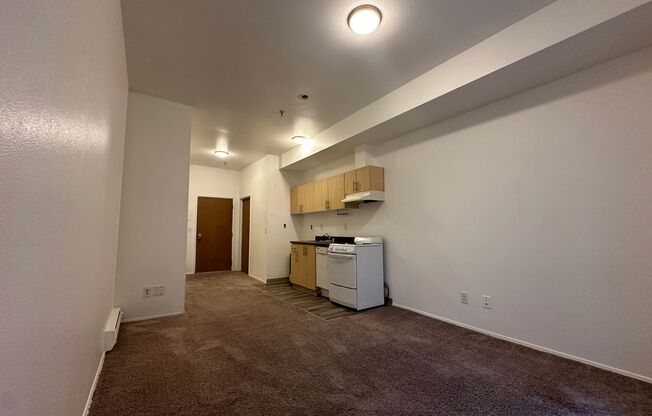 Studio, 1 bath, 315 sqft, $1,100