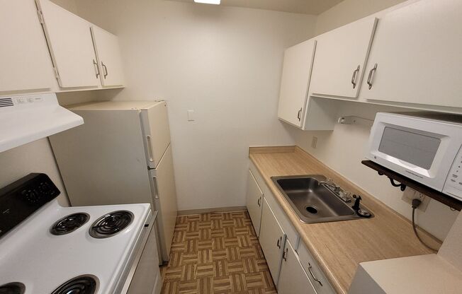 1 bed, 1 bath, 500 sqft, $850, Unit OTG 805-106