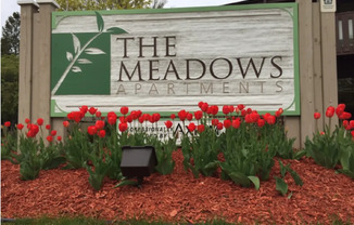 The Meadows