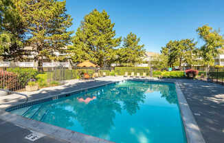 A person is swimming in a blue pool surrounded by trees and a fence.